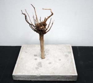„Baum des Vergessens“, Gips, Beton, trockene Wurzel, 2013