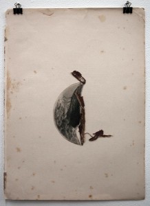 „Flügel“, Materialcollage, 2009, 23cm x 33cm