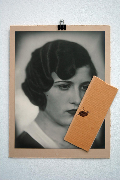 „Lippe“, Fotografie, Lack, wurmzerfressene Pappe, 2009, 20cm x 25cm