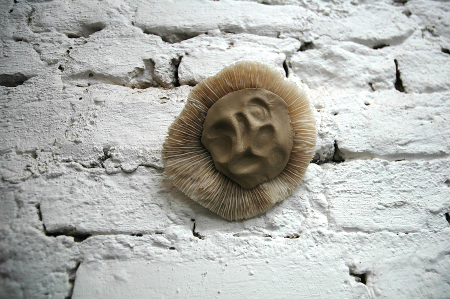 Objekt „Mauerblümchen“, Fensterkitt, Koralle, 2013