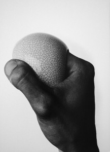 24teilige Reihe „Vasentanz“ , Brom- Silbergelatineabzug auf MDF- Platte, 2009, 39cm x 49cm