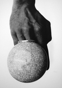 24teilige Reihe „Vasentanz“ , Brom- Silbergelatineabzug auf MDF- Platte, 2009, 39cm x 49cm