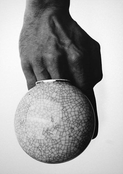 24teilige Reihe „Vasentanz“ , Brom- Silbergelatineabzug auf MDF- Platte, 2009, 39cm x 49cm