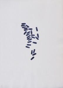 Jörg Wagner, Lichtpause als Lambdaabzug auf Fotopapier, 25cm x35cm, 2015, Auflage 1+1 plus Lichtpause