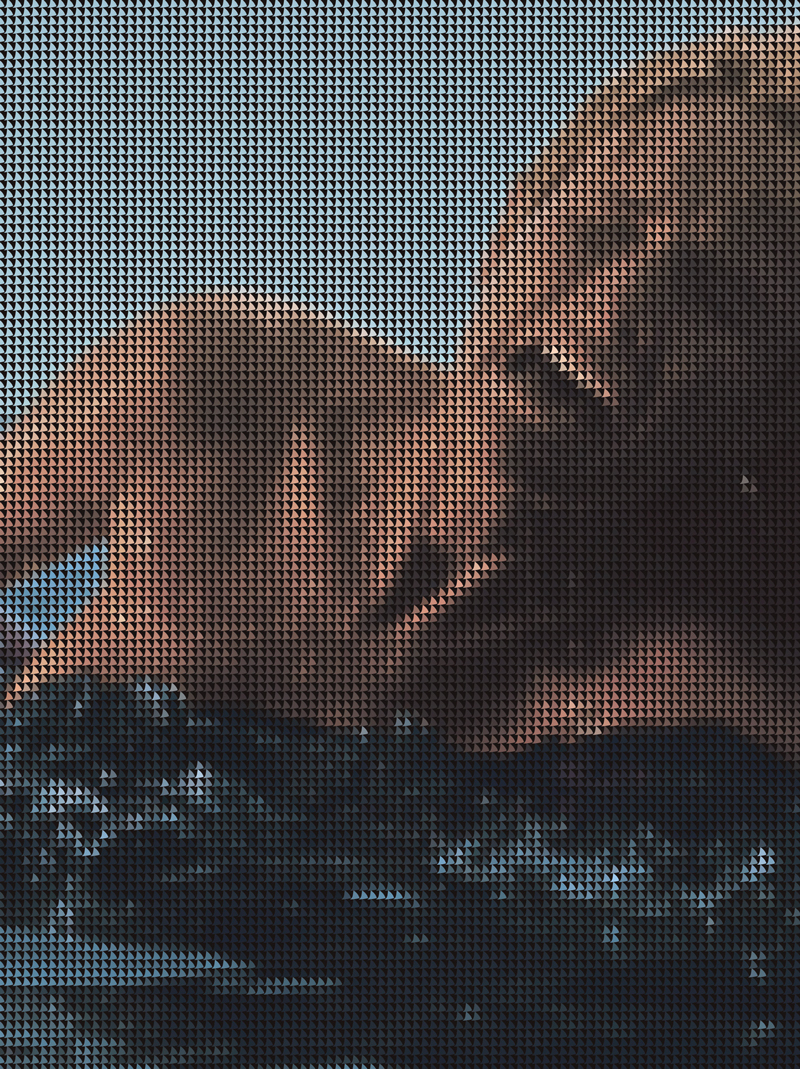 Limmer, Reimar: Monster/ Hai, 2014, Digitaldruck auf Alu-Dibond, 70cm x100cm