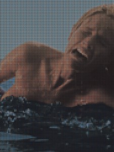 Reimar Limmer, Monster/ Hai, 2014, Digitaldruck auf Alu-Dibond, 70cm x100cm