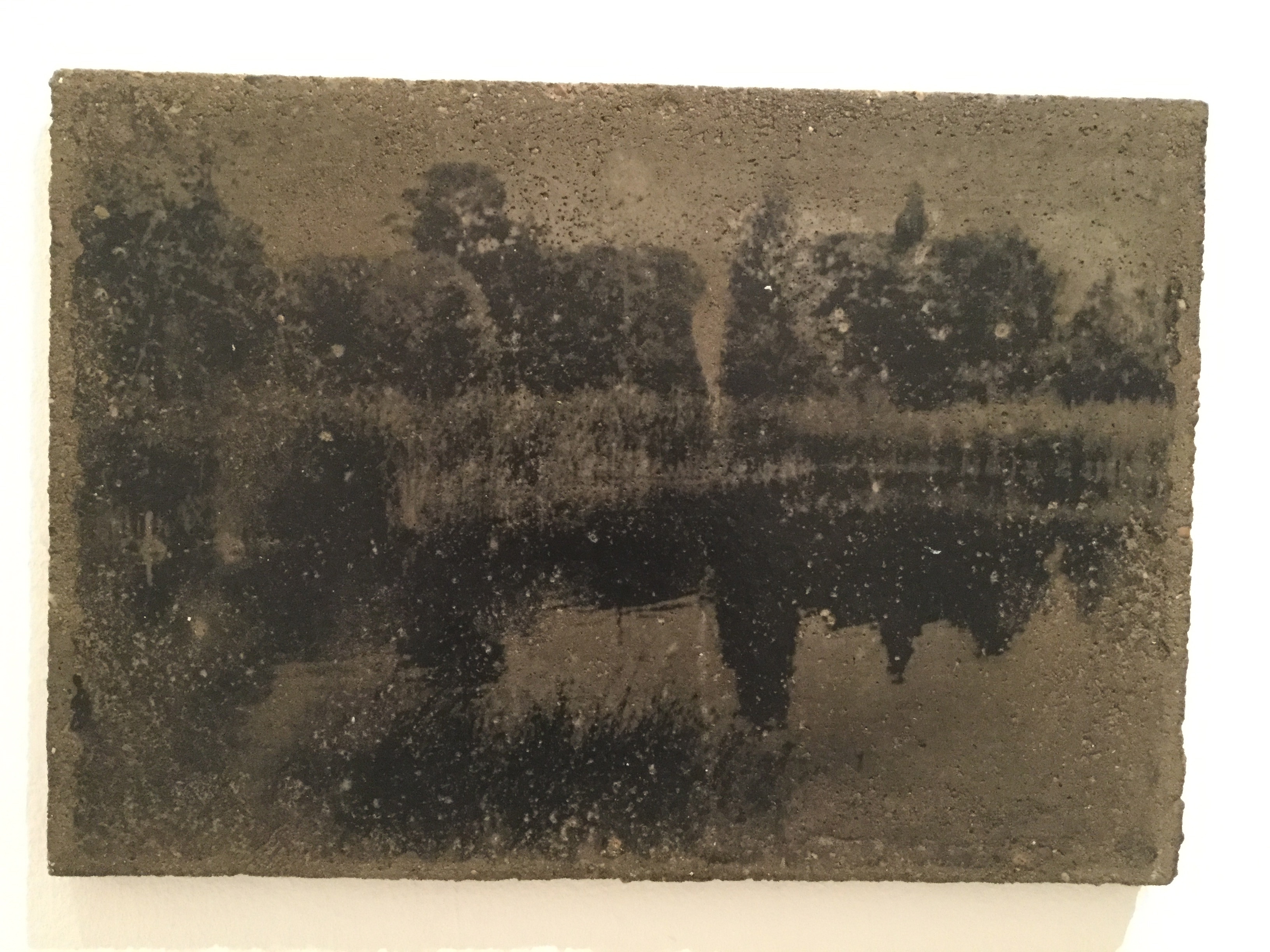 Leipziger Teich (1/3), 2016, Siebdruck auf Beton, 40x50cm